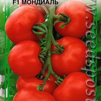 Томат Мондиаль F1, 10 шт.
