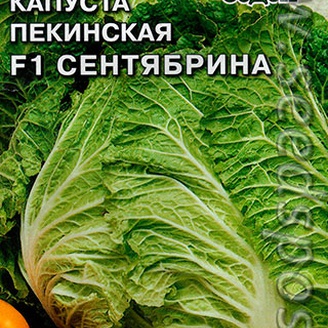 Капуста пекинская Сентябрина F1, 0,3 г