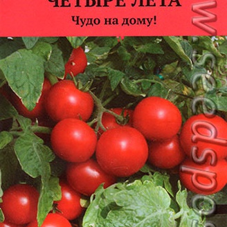 Томат Красная россыпь, 5 шт. Четыре лета
