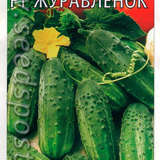 Огурец Журавленок F1, 10 шт.