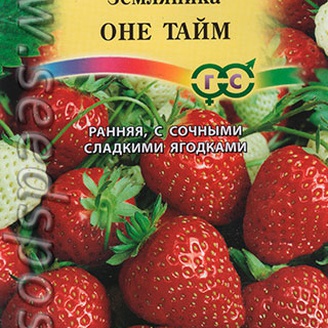 Земляника Оне Тайм, 4 шт.